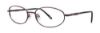 Picture of Timex Eyeglasses T196
