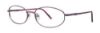 Picture of Timex Eyeglasses T196