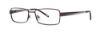 Picture of Timex Eyeglasses T262