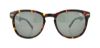 Picture of Penguin Sunglasses THE BRISCOE