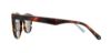 Picture of Penguin Sunglasses THE BRISCOE