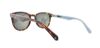 Picture of Penguin Sunglasses THE BRISCOE