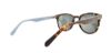 Picture of Penguin Sunglasses THE BRISCOE