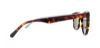 Picture of Penguin Sunglasses THE BRISCOE