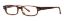 Picture of Penguin Eyeglasses THE CLEMENS