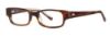 Picture of Penguin Eyeglasses THE COLEMAN