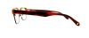 Picture of Penguin Eyeglasses THE EDDIE