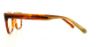 Picture of Penguin Eyeglasses THE HOPPER