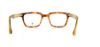 Picture of Penguin Eyeglasses THE HOPPER