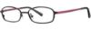 Picture of Vera Wang Eyeglasses V027