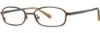 Picture of Vera Wang Eyeglasses V027