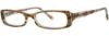 Picture of Vera Wang Eyeglasses V050