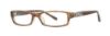 Picture of Vera Wang Eyeglasses V083