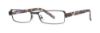 Picture of Vera Wang Eyeglasses V085