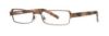 Picture of Vera Wang Eyeglasses V085