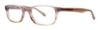 Picture of Vera Wang Eyeglasses V099