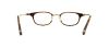 Picture of John Varvatos Eyeglasses V351