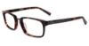 Picture of John Varvatos Eyeglasses V359