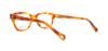Picture of Lucky Brand Eyeglasses VENTURER