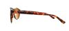 Picture of Converse Sunglasses Y006 UF