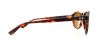 Picture of Converse Sunglasses Y006 UF