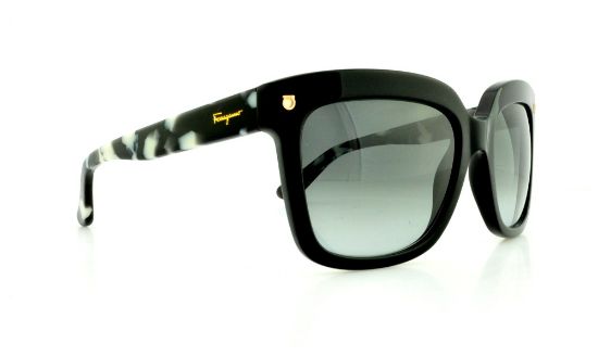 Picture of Salvatore Ferragamo Sunglasses SF676S