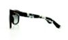 Picture of Salvatore Ferragamo Sunglasses SF676S