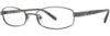 Picture of Vera Wang Eyeglasses V037