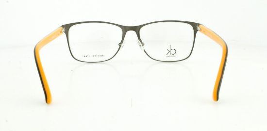 Picture of Calvin Klein Platinum Eyeglasses CK5399