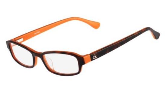 Picture of Calvin Klein Platinum Eyeglasses CK5865