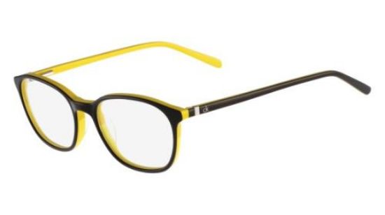 Picture of Calvin Klein Platinum Eyeglasses CK5878