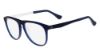 Picture of Calvin Klein Platinum Eyeglasses CK5888