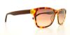 Picture of Lacoste Sunglasses L683S