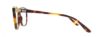 Picture of Smith Eyeglasses DARBY