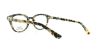 Picture of Converse Eyeglasses P007 UF