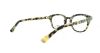 Picture of Converse Eyeglasses P007 UF