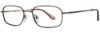 Picture of Gallery Eyeglasses NOAH