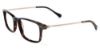 Picture of Lucky Brand Eyeglasses D402