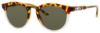 Picture of Smith Sunglasses QUESTA/S