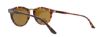 Picture of Smith Sunglasses QUESTA/S