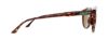 Picture of Smith Sunglasses QUESTA/S