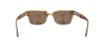 Picture of Penguin Sunglasses THE CLANCY