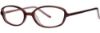 Picture of Vera Wang Eyeglasses V006