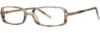 Picture of Vera Wang Eyeglasses V007