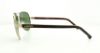 Picture of Lacoste Sunglasses L163S