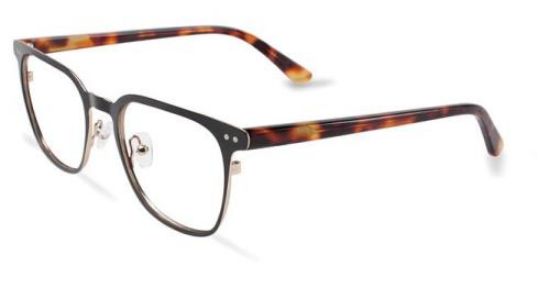 Picture of Converse Eyeglasses P013