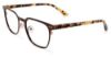 Picture of Converse Eyeglasses P013