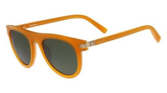 Picture of Salvatore Ferragamo Sunglasses SF787S