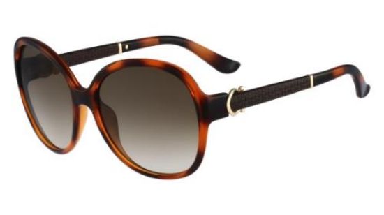 Picture of Salvatore Ferragamo Sunglasses SF764SL