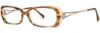 Picture of Vera Wang Eyeglasses V175